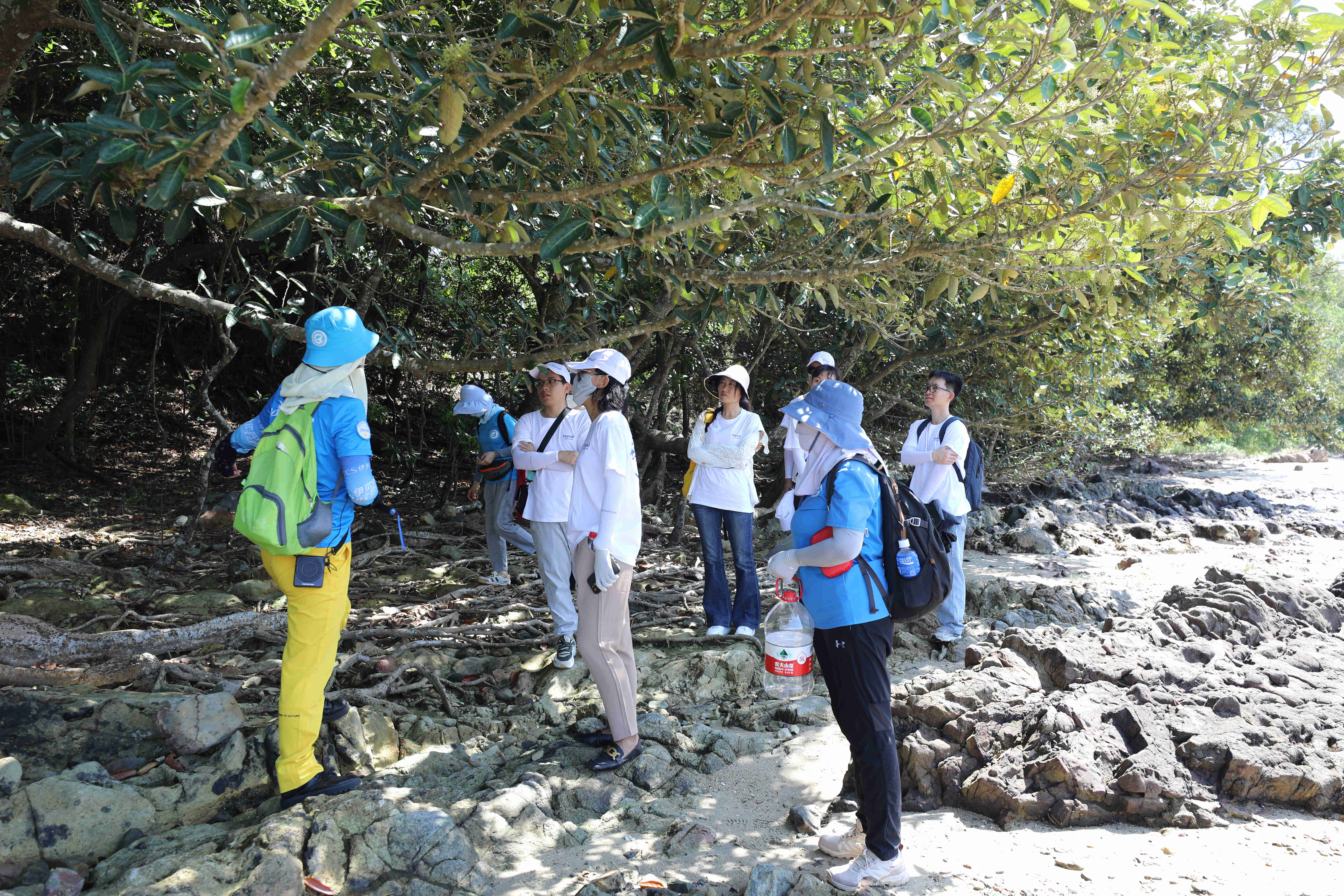 尊龙凯时人生就是搏(中国区)官方网站